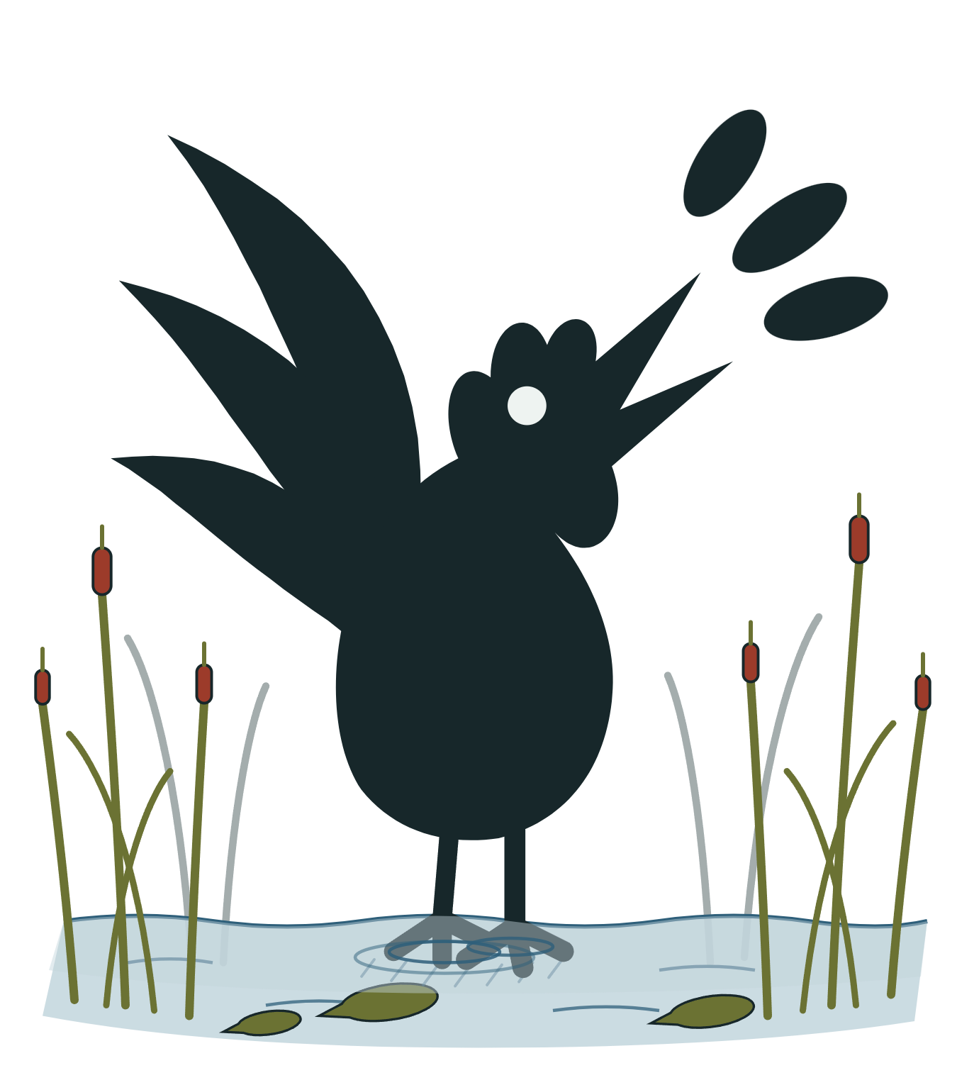 Chanticleer, the paper's rooster, crowing while standing in swamp water among the cattails / Chanticleer, el gallo del peri&oacute;dico, cantando de pie en el agua del pantano entre las espadañas